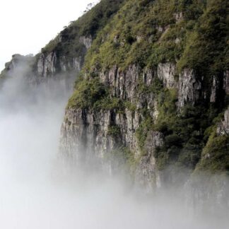 Signature Teal Leather Audio