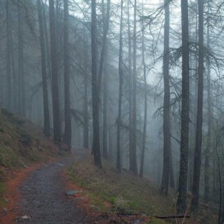 Professional Teal Recycled Fragrance
